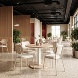 ZUO Zeal Dining Chair (Set of 4) Light Gray & Beige
