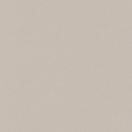 ZUO Zeal Barstool (Set of 4) Light Gray