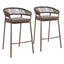 ZUO Skye Barstool (Set of 2) Brown