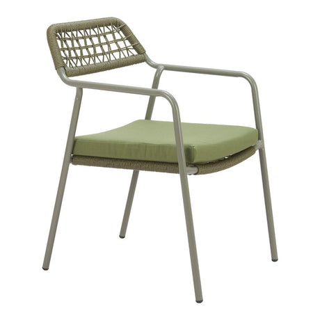 ZUO Rio Dining Chair (Set of 2) Green