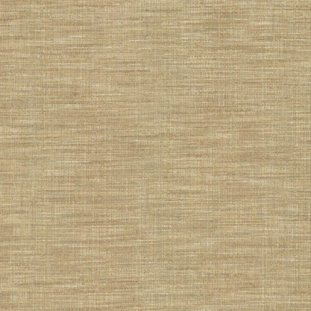 Kasmir Guillermo Silver Fabric