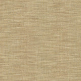 Kasmir Guillermo Silver Fabric