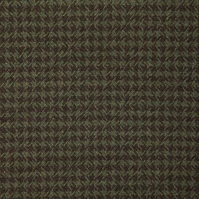 Pindler CONNOR MOSS Fabric