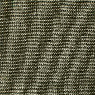 Pindler GHENT LICHEN Fabric