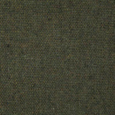 Pindler ROURKE MOSS Fabric