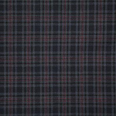 Pindler SHAUNA INK Fabric