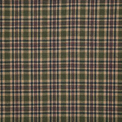 Pindler SHAUNA MOSS Fabric