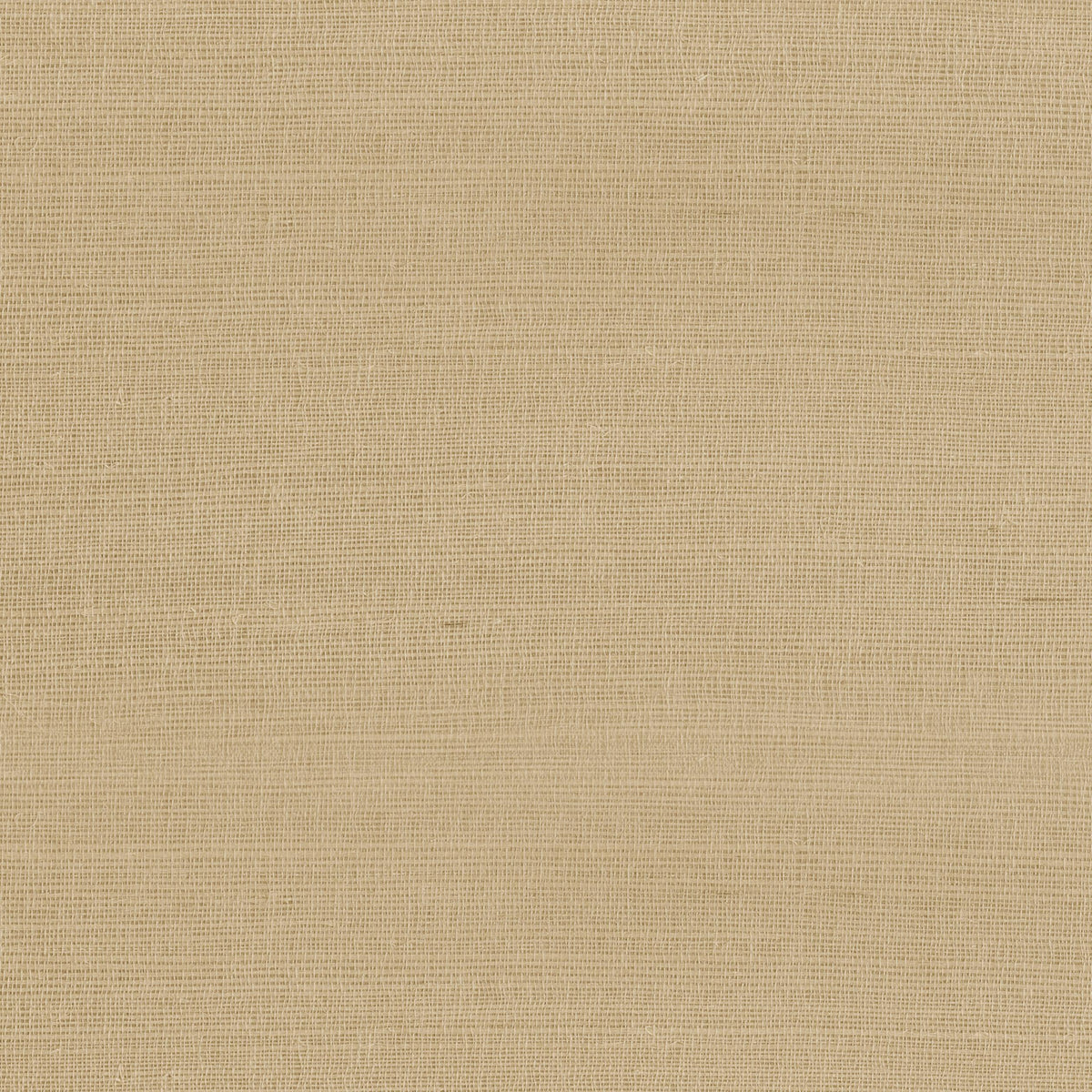 Armani Rafia Plain Taupe Wallpaper