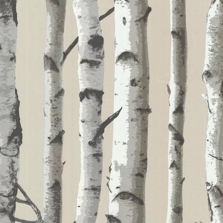 Brewster Home Fashions Irvin Grey Birch Tree Wallpaper