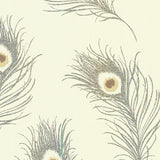 Brewster Home Fashions Peacock Beige Feather Wallpaper