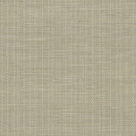 Brewster Home Fashions Brewster Techniques & Finishes III 2767-01696 Khaki Wallpaper