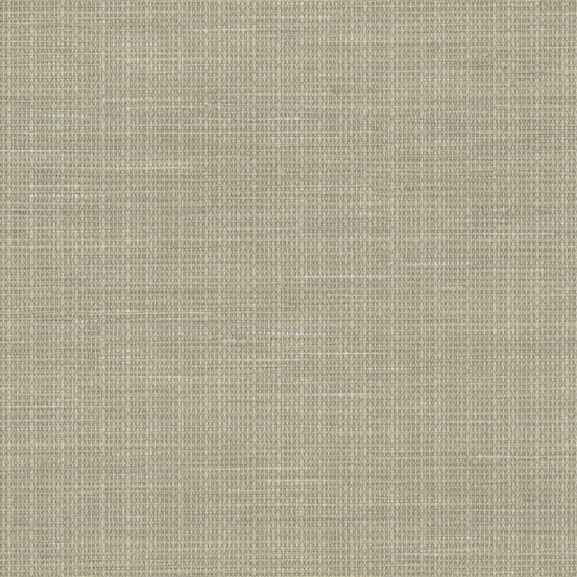 Brewster Home Fashions Brewster Techniques & Finishes III 2767-01696 Khaki Wallpaper