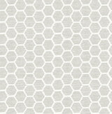A-Street Prints Celadon 2793-24713 Platinum Wallpaper
