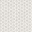 A-Street Prints Celadon 2793-24713 Platinum Wallpaper