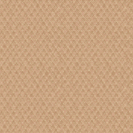 Brewster Home Fashions Advantage Surfaces 2812-XSS0206 Rust Wallpaper