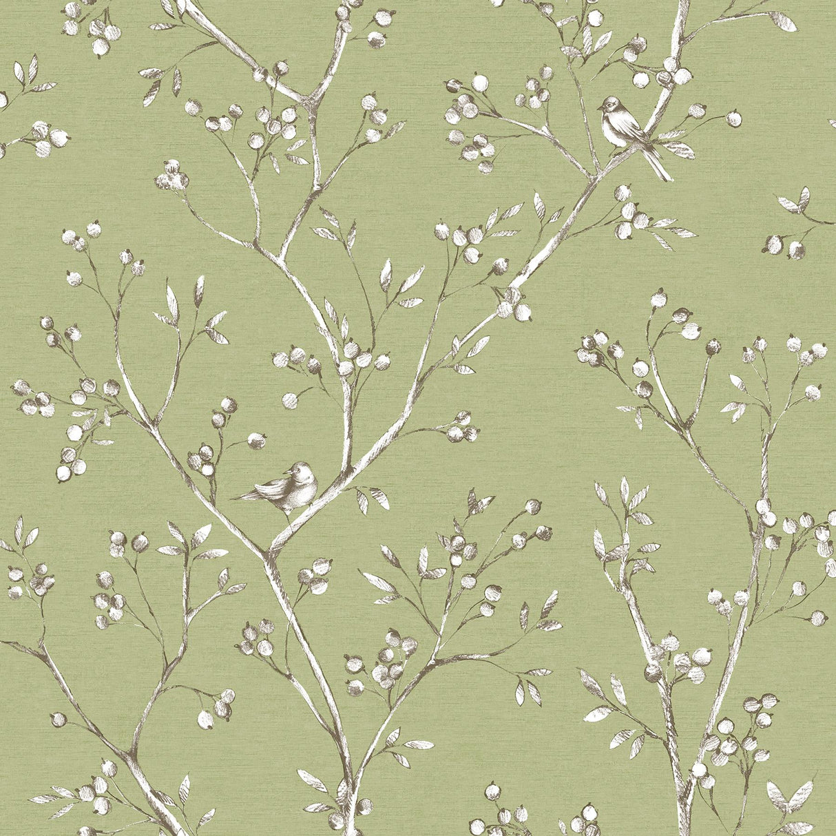 Brewster Home Fashions Chesapeake Sage Hill 3112-002750 Sage Wallpaper