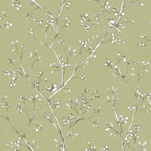 Brewster Home Fashions Chesapeake Sage Hill 3112-002750 Sage Wallpaper