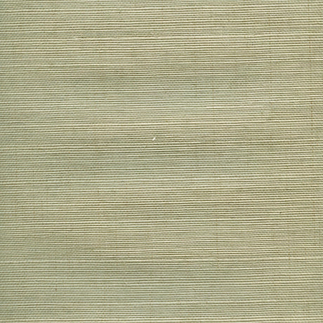Brewster Home Fashions Advantage Grasscloth Portfolio 4018-0043 Sage Wallpaper