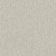 A-Street Prints Hidden Treasures 2 Midolin Fossil Light Brown Wallpaper