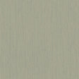 A-Street Prints Hidden Treasures 2 Midolin Vass Olive Wallpaper