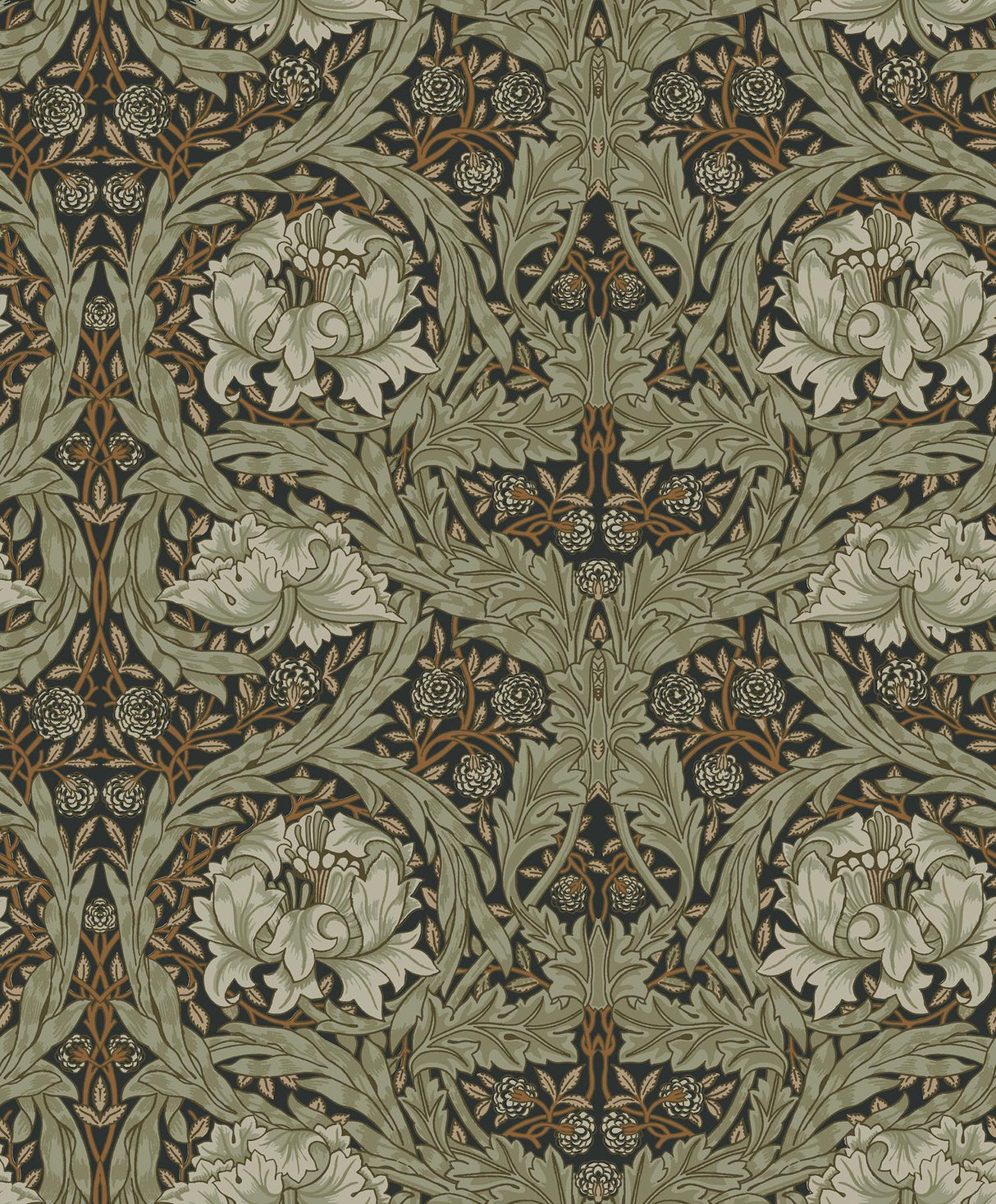 A-Street Prints Hidden Treasures 2 African Marigold Black Wallpaper
