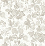 A-Street Prints Sea Salt Beach Rose Neutral Wallpaper