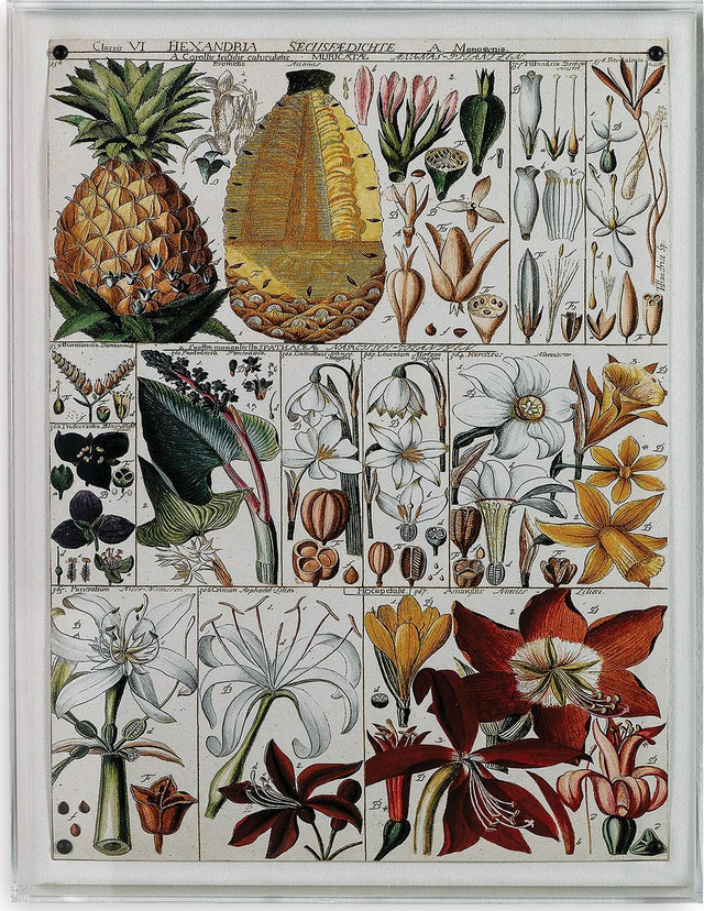 Port 68 Pineapple Chart