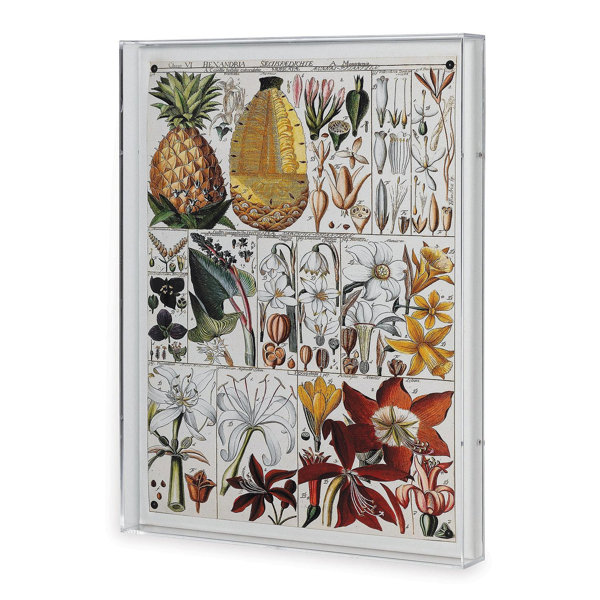 Port 68 Pineapple Chart