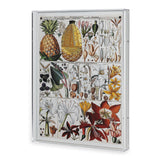 Port 68 Pineapple Chart