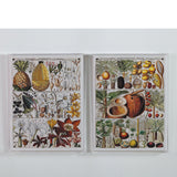 Port 68 Pineapple Chart