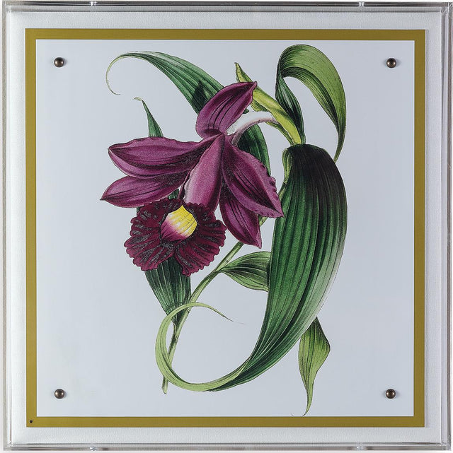 Port 68 Paxton Flower Purple