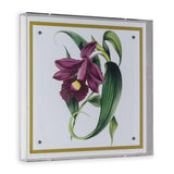 Port 68 Paxton Flower Purple