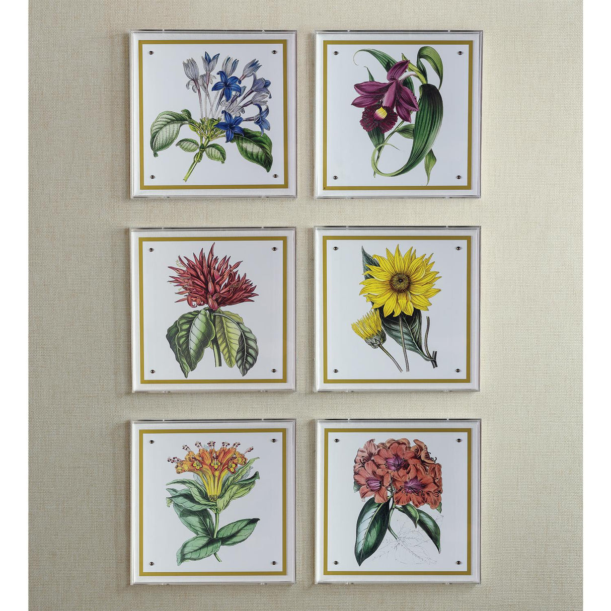 Port 68 Paxton Flower Purple