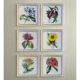 Port 68 Paxton Flower Purple