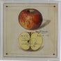 Port 68 Willow Apple