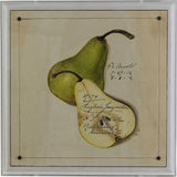 Port 68 Jongouelle Pear