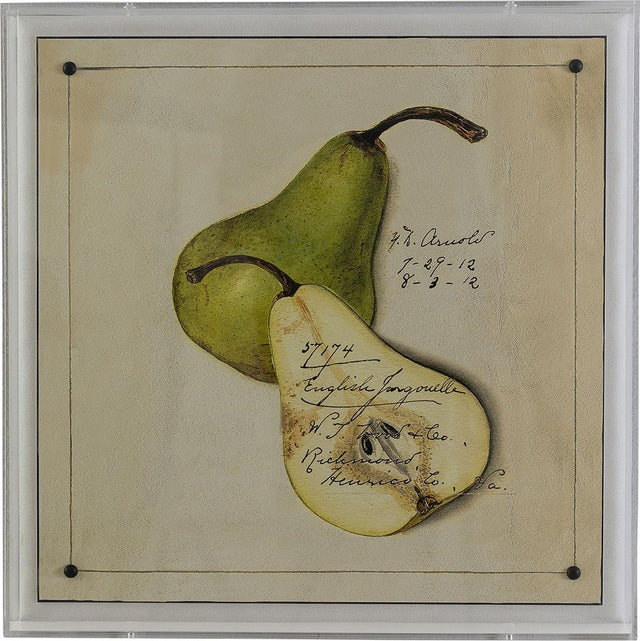 Port 68 Jongouelle Pear