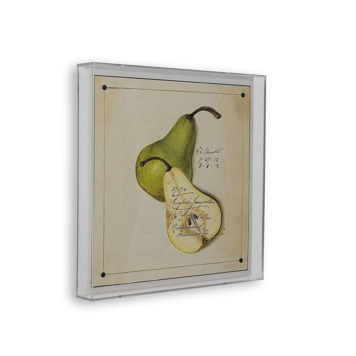 Port 68 Jongouelle Pear