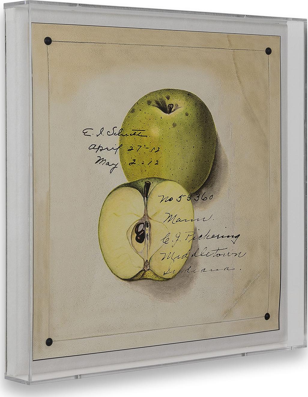 Port 68 Green Apple