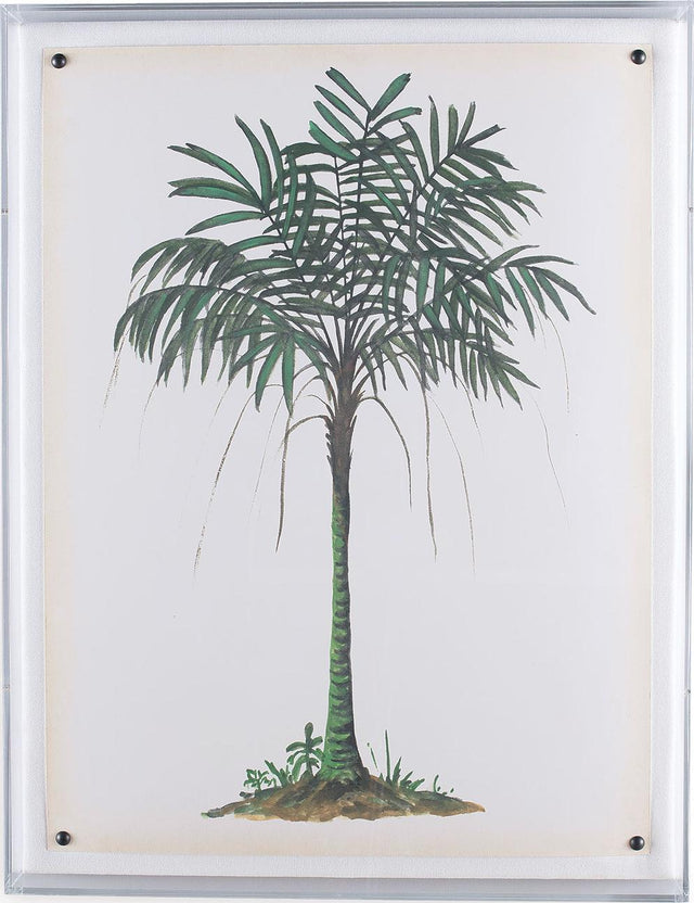 Port 68 Palm Tree II