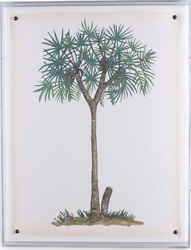 Port 68 Palm Tree III