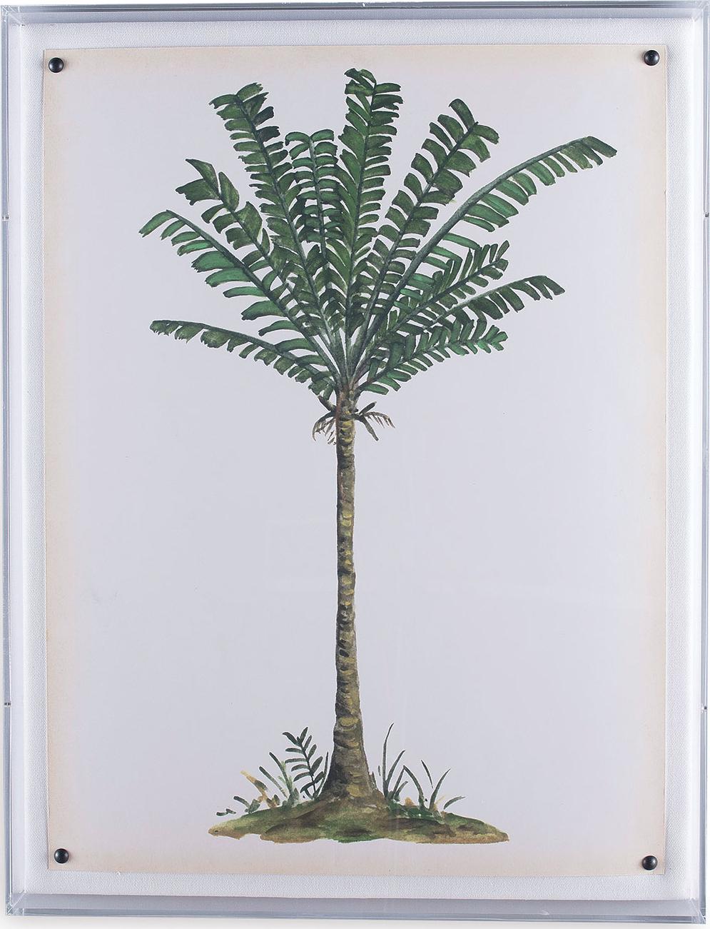 Port 68 Palm Tree IV