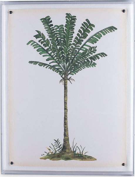 Port 68 Palm Tree IV