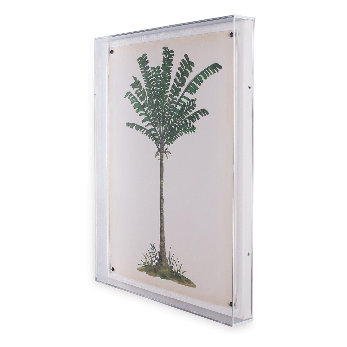 Port 68 Palm Tree IV