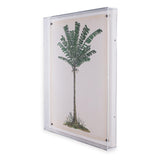 Port 68 Palm Tree IV