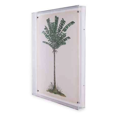 Port 68 Palm Tree IV