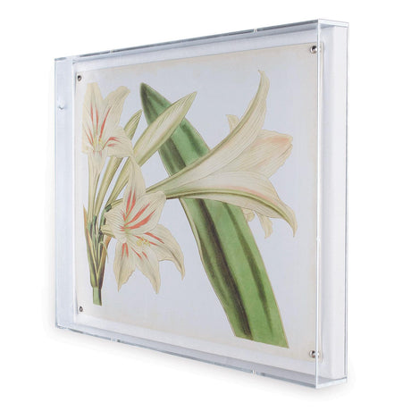 Port 68 Amaryllis III