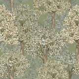 Galerie 12322 Little Explorers 2 Wood Green Wallpaper 12322 Green Wallpaper