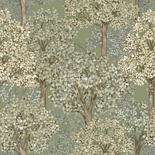 Galerie 12322 Little Explorers 2 Wood Green Wallpaper 12322 Green Wallpaper