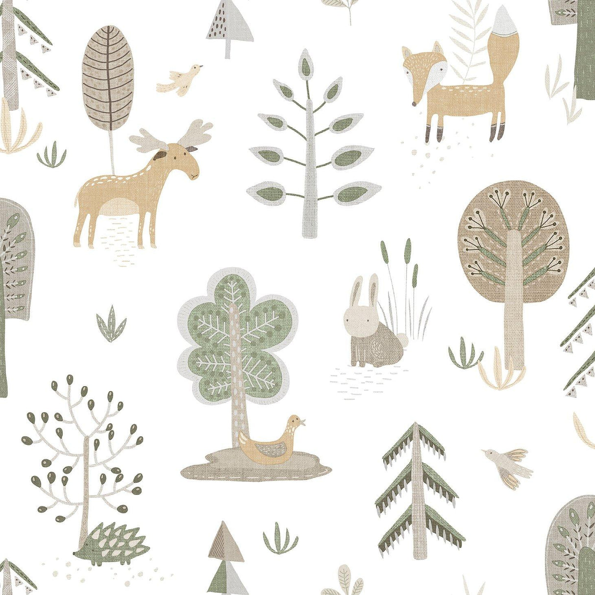 Galerie 14802 Little Explorers 2 Kids Green Wallpaper 14802 Green Wallpaper